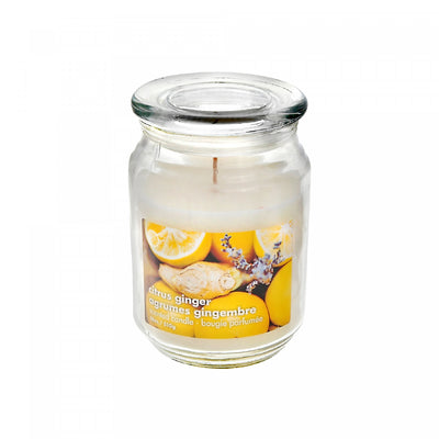 18 Oz Scented Glass Jar with Glass Lid Citrus Ginger - Set of 2 Candle|Pot parfumé de 18 oz en verre à arôme d’agrumes et gingembre avec couvercle en verre - ensemble de 2 bougies