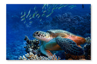 Big Sea Turtle Underwater 24x36 Wall Art Fabric Panel Without Frame