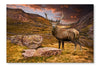 Red Deer Stag in Moody Dramatic Mountain Sunset Landscape 16x24 Wall Art Fabric Panel Without Frame