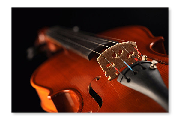 Close Up Shot of A Violin, Shallow Deep of Field 24x36 Wall Art Fabric Panel Without Frame