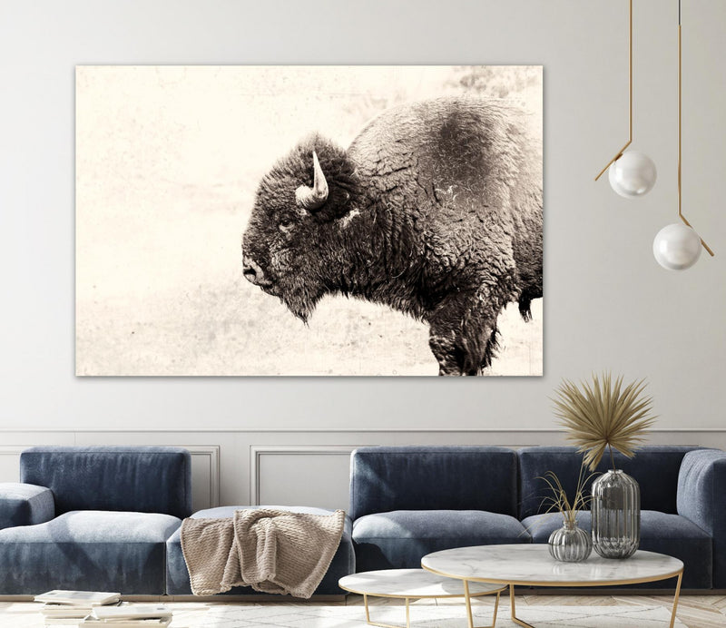 \"Buffalo\" Giant Art 72x48 Wall Art