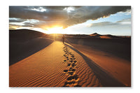 Hike In Desert 16x24 Wall Art Frame And Fabric Panel