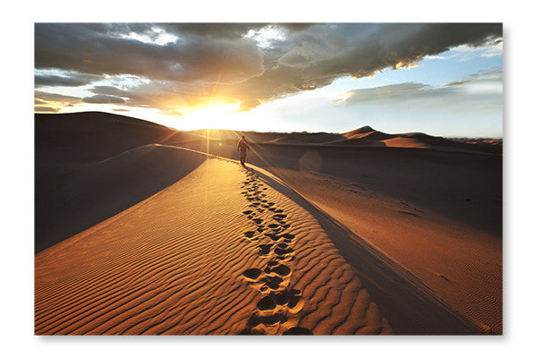 Hike In Desert 16x24 Wall Art Frame And Fabric Panel