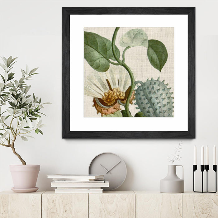 \"Cropped Turpin Tropicals Ii\" Matted and Framed Black 30x30 Wall Art