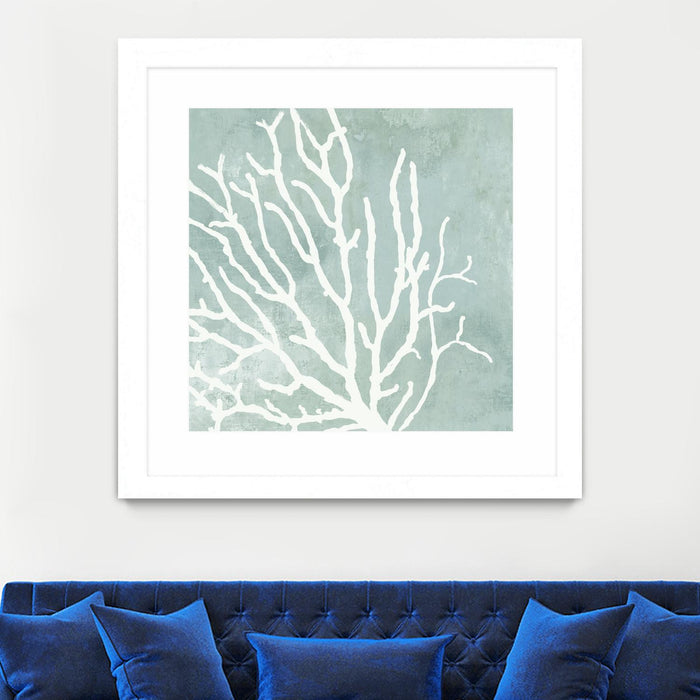 \"Sea Crown I\" Matted and Framed White 30x30 Wall Art