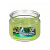 3 Oz Scented Glass Jar with Lid Tropical Getaway - Set of 2 Candle