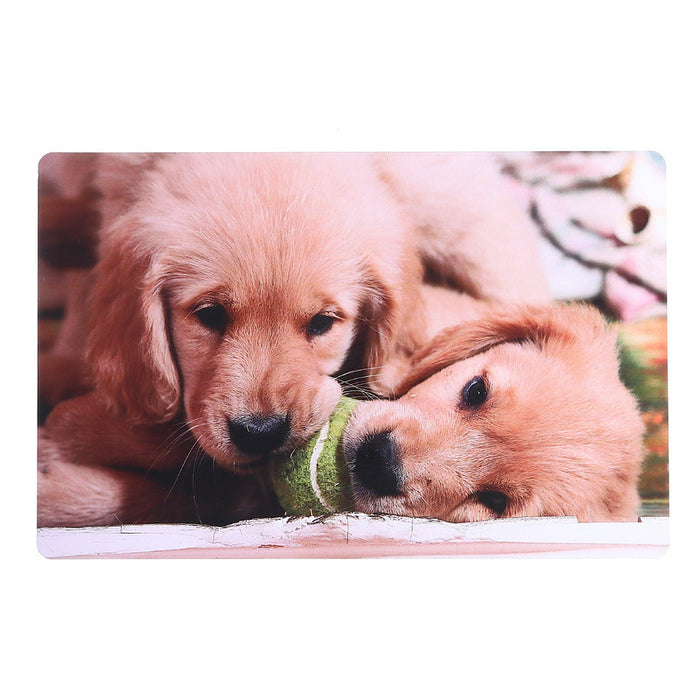 Plastic Placemat Dogs Chewing Ball - Set of 12