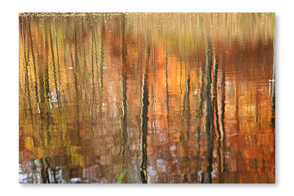 Autumn Forest Reflection 16x24 Wall Art Fabric Panel Without Frame
