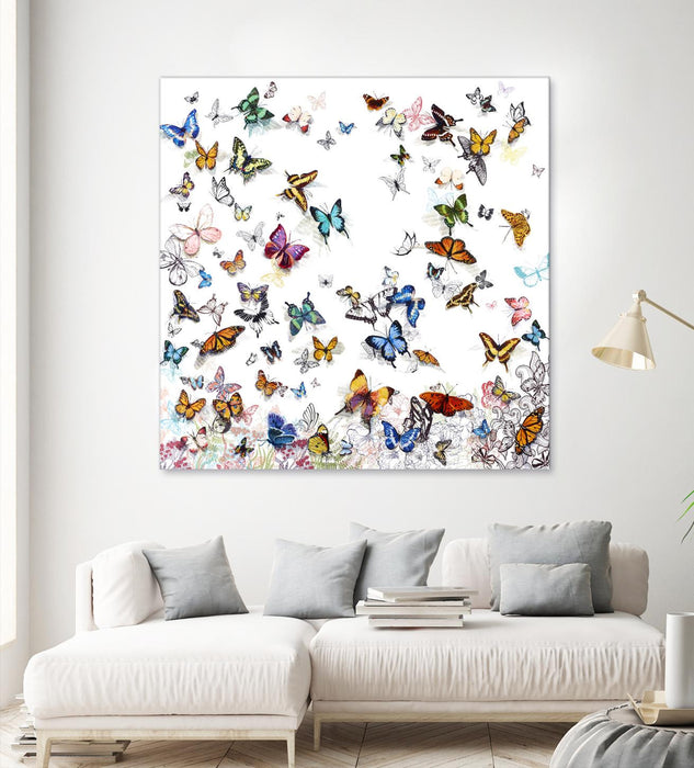 \"Papillon\" Giant Art 54x54 Wall Art