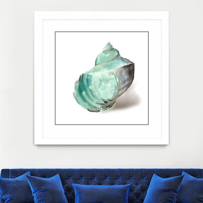 \"Shell In Mint\" Matted and Framed White 36x36 Wall Art