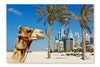 Camel At The Urban Building Background of Dubai 16x24 Wall Art Fabric Panel Without Frame