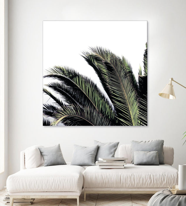 \"Cape Storm\" Giant Art 54x54 Wall Art