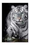 Black And White Tiger 24x36 Wall Art Frame And Fabric Panel