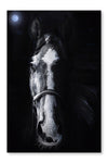 Horse Staring 16x24 Wall Art Frame And Fabric Panel
