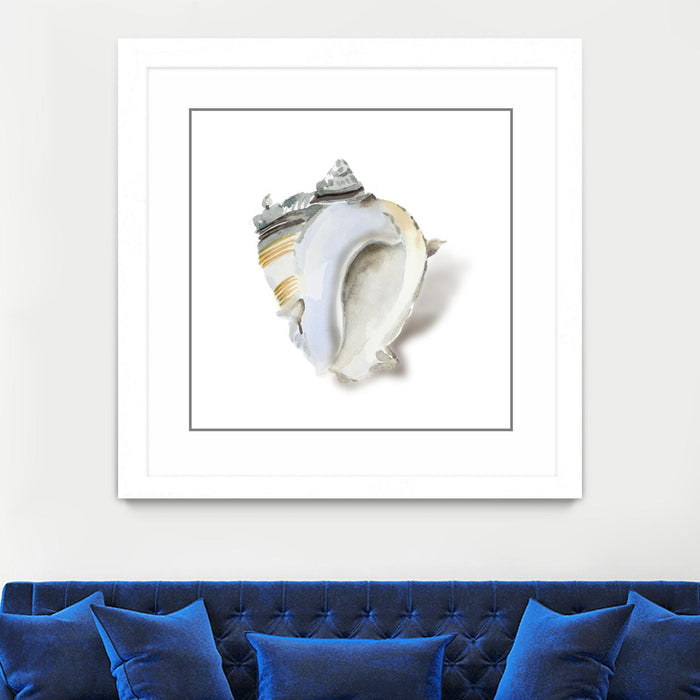 \"Seafoam Shell\" Matted and Framed White 36x36 Wall Art