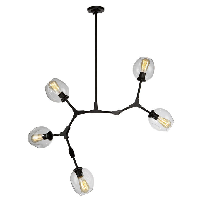 Organic 5-Light Chandelier I