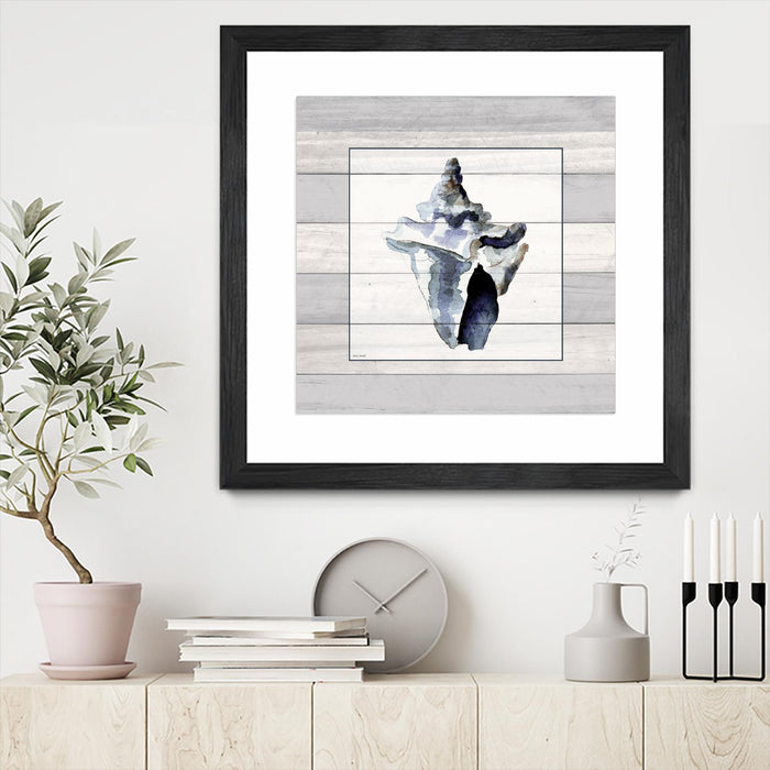 \"Muted Blue Sea Conch On Wood\" Matted and Framed Black 30x30 Wall Art