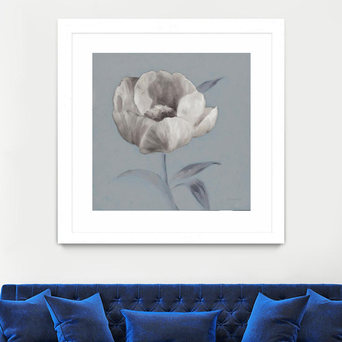 \"Floral Symposium I\" Matted and Framed White 30x30 Wall Art
