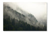 Forest Fog 24x36 Wall Art Fabric Panel Without Frame