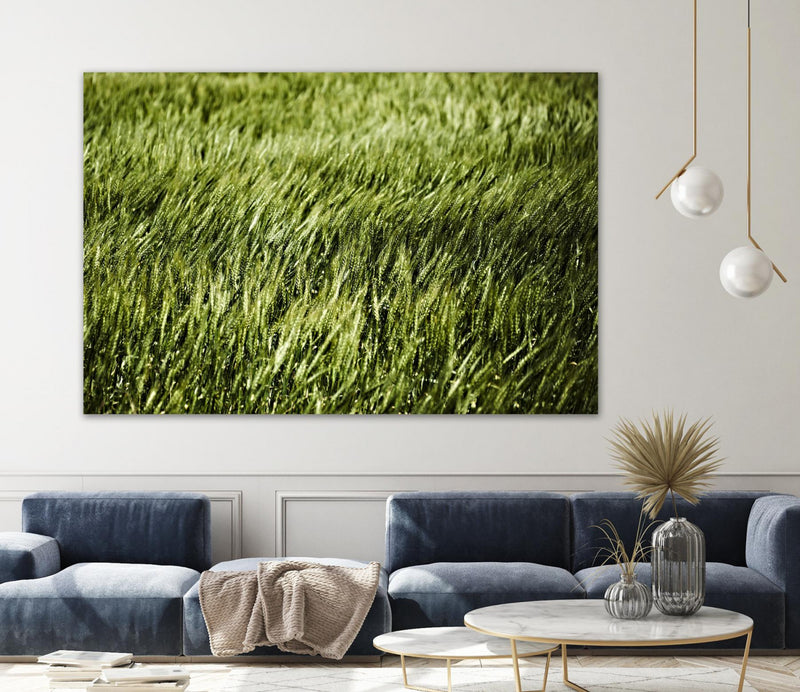 \"Grass Ii\" Giant Art 84x54 Wall Art