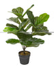 Artificial 27" Fiddle Leaf In Black Pot 