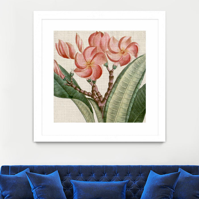 \"Cropped Turpin Tropicals Vii\" Matted and Framed White 30x30 Wall Art