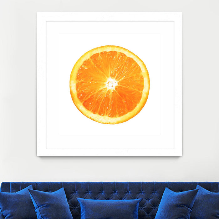\"Citrus Cultivar\" Matted and Framed White 30x30 Wall Art