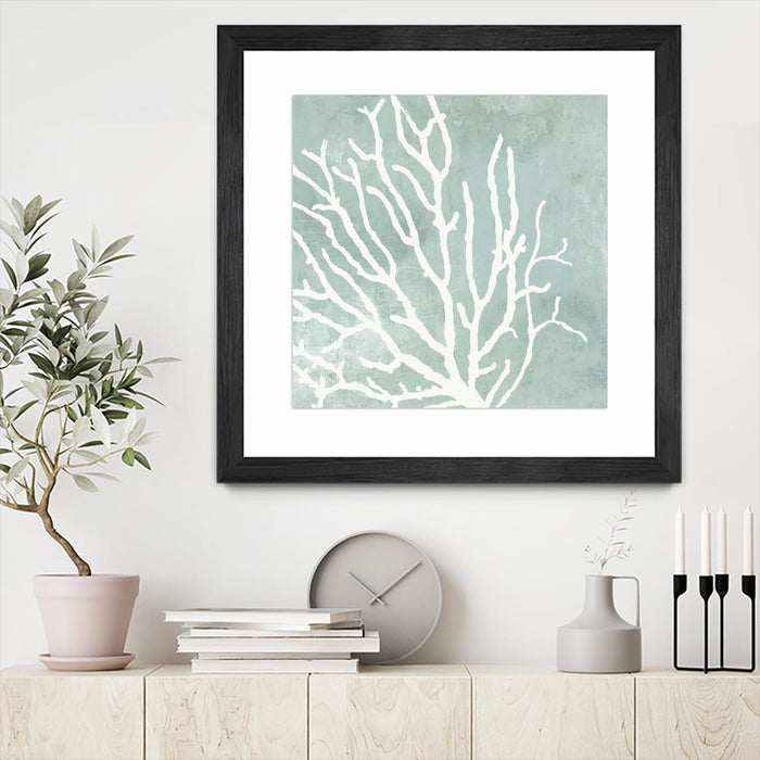 \"Sea Crown I\" Matted and Framed Black 36x36 Wall Art