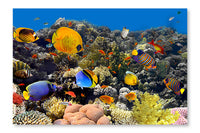 Coral  Fish 28x42 Wall Art Fabric Panel Without Frame