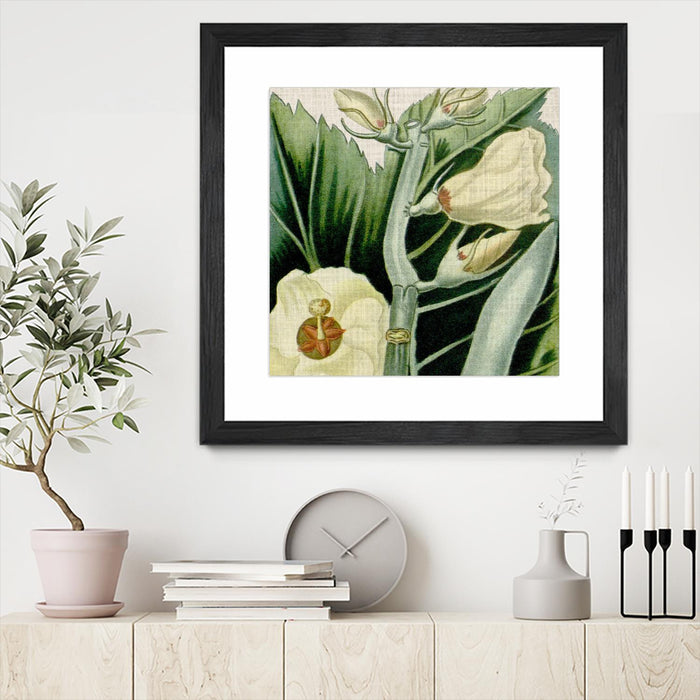 \"Cropped Turpin Tropicals Iii\" Matted and Framed Black 30x30 Wall Art