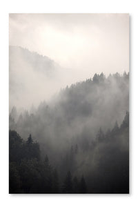 Foggy Forest 16x24 Wall Art Fabric Panel Without Frame