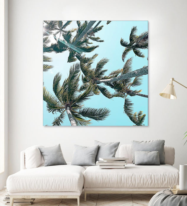 \"Palm 03\" Giant Art 72x72 Wall Art