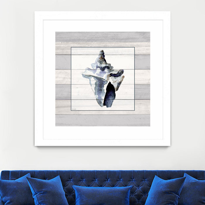 \"Muted Blue Sea Conch On Wood\" Matted and Framed White 30x30 Wall Art