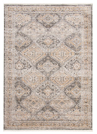 Leandra Taupe/grey Rug 3'11