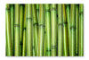 Fresh Bamboo Background 28x42 Wall Art Fabric Panel Without Frame