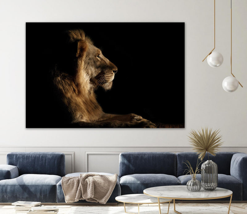\"Royal Meeting In The Night\" Giant Art 84x54 Wall Art