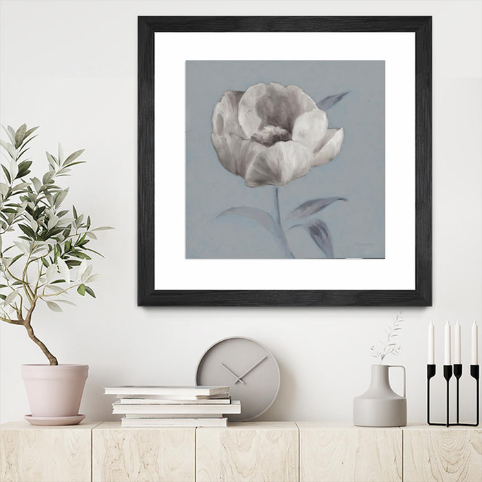 \"Floral Symposium I\" Matted and Framed Black 36x36 Wall Art