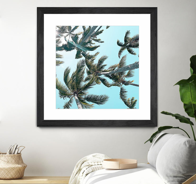\"Palm 03\" Matted and Framed Black 30x30 Wall Art