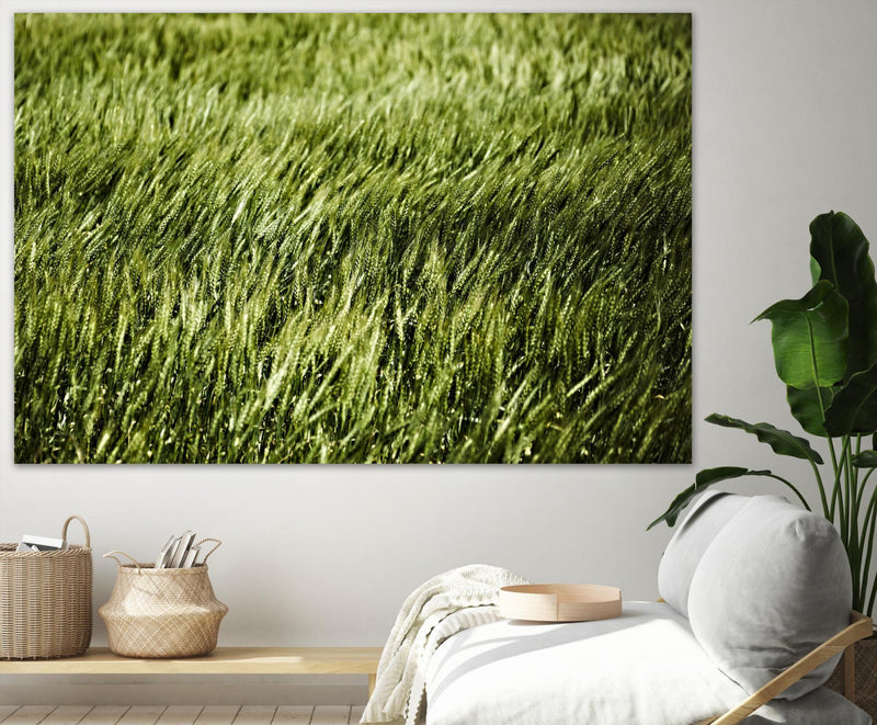 \"Grass Ii\" Giant Art 84x54 Wall Art
