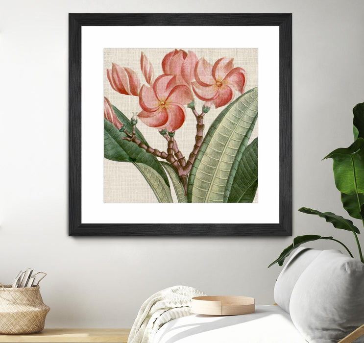 \"Cropped Turpin Tropicals Vii\" Matted and Framed Black 36x36 Wall Art
