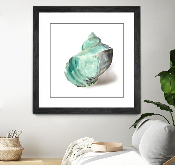 \"Shell In Mint\" Matted and Framed Black 36x36 Wall Art