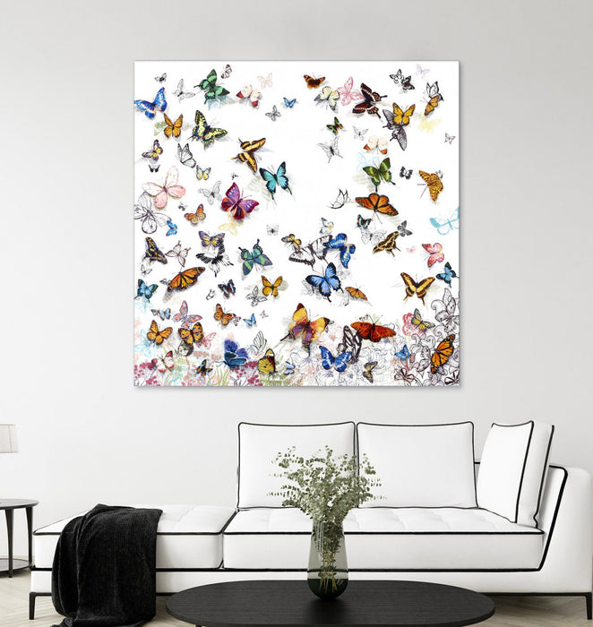 \"Papillon\" Giant Art 54x54 Wall Art