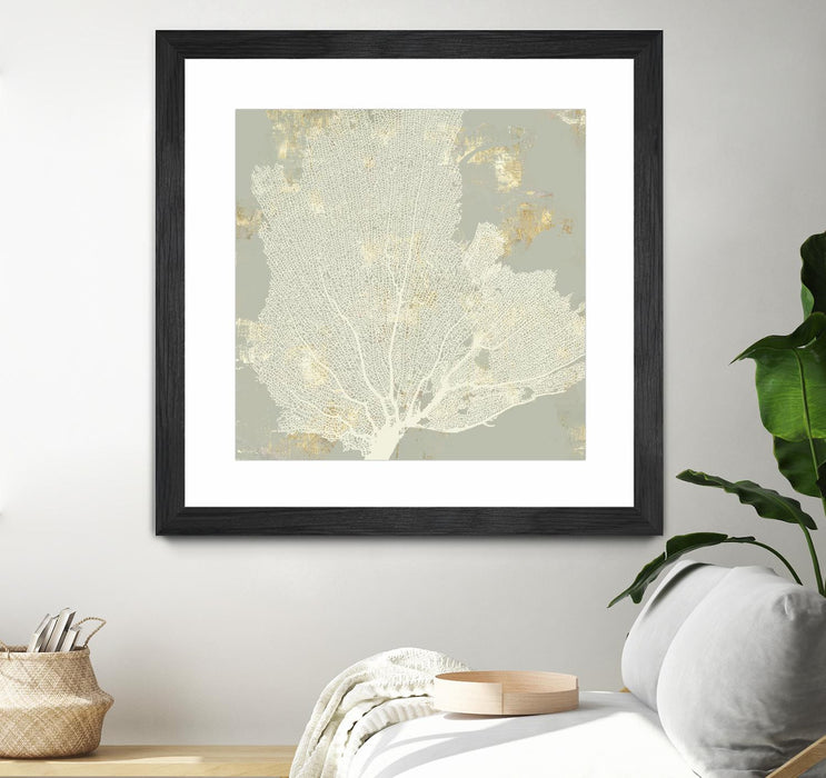 \"Sea Coral I\" Matted and Framed Black 36x36 Wall Art
