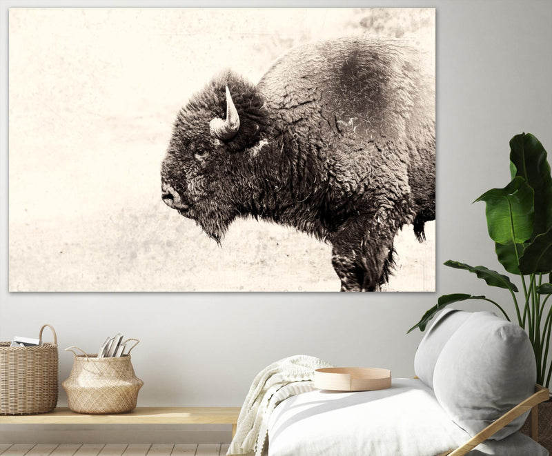 \"Buffalo\" Giant Art 72x48 Wall Art