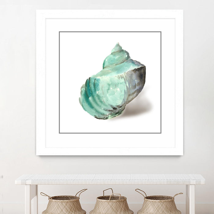 \"Shell In Mint\" Matted and Framed White 36x36 Wall Art