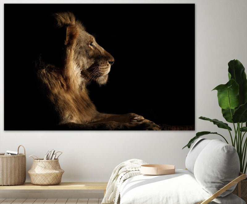 \"Royal Meeting In The Night\" Giant Art 72x48 Wall Art