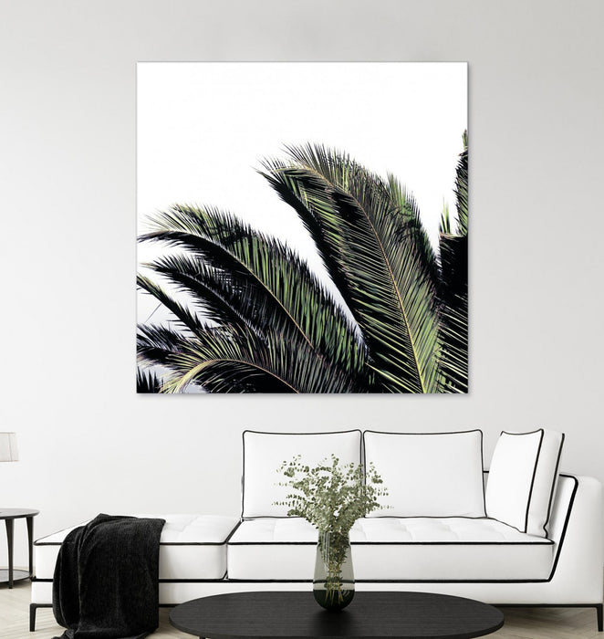 \"Cape Storm\" Giant Art 54x54 Wall Art