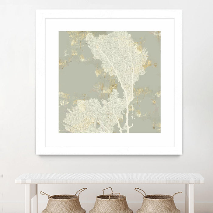 \"Sea Coral Ii\" Matted and Framed White 30x30 Wall Art