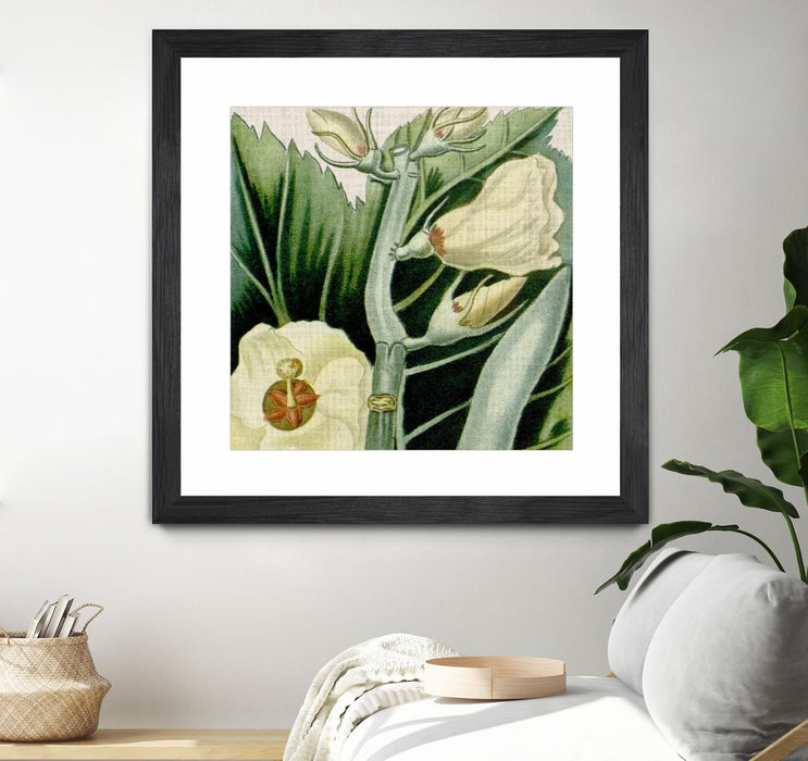 \"Cropped Turpin Tropicals Iii\" Matted and Framed Black 30x30 Wall Art