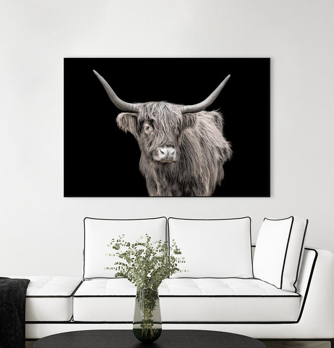 \"A New Kid In Town\" Canvas Framed Black 36x24 Wall Art